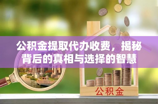 浮梁公积金提取代办收费，揭秘背后的真相与选择的智慧