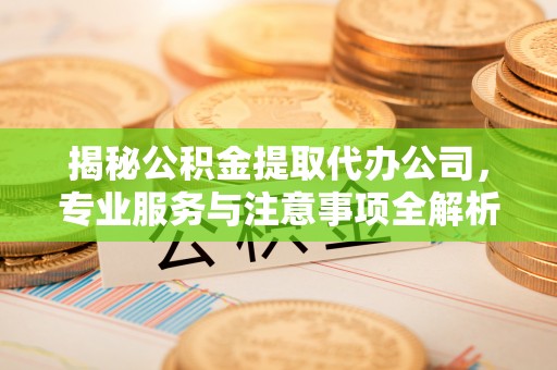 浮梁揭秘公积金提取代办公司，专业服务与注意事项全解析