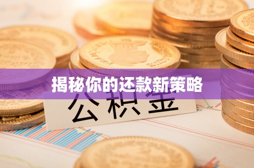 浮梁揭秘你的还款新策略