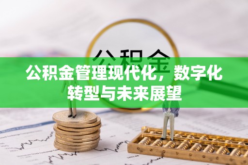 浮梁公积金管理现代化，数字化转型与未来展望