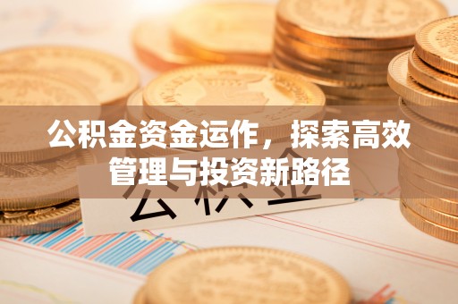 浮梁公积金资金运作，探索高效管理与投资新路径