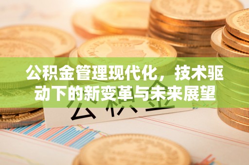 浮梁公积金管理现代化，技术驱动下的新变革与未来展望