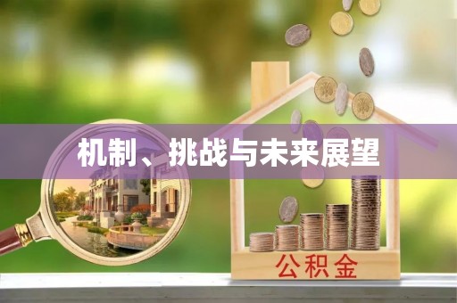 浮梁机制、挑战与未来展望